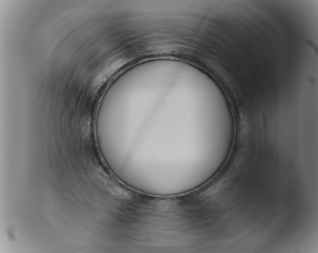 X0000103490778200809261950