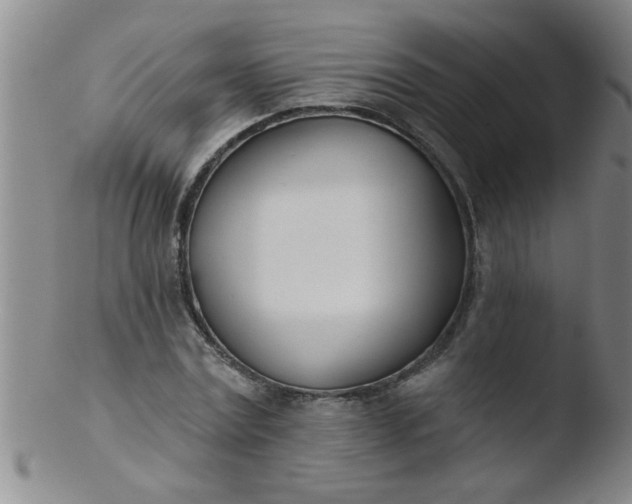 X0000103490779200809261950