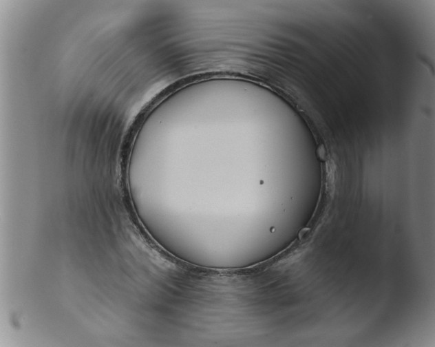 X0000103490780200809261950