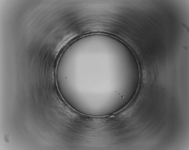 X0000103490782200809261950