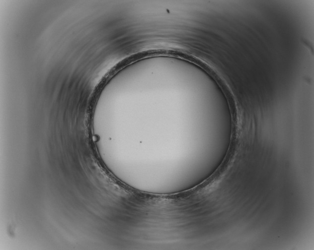 X0000103490783200809261950