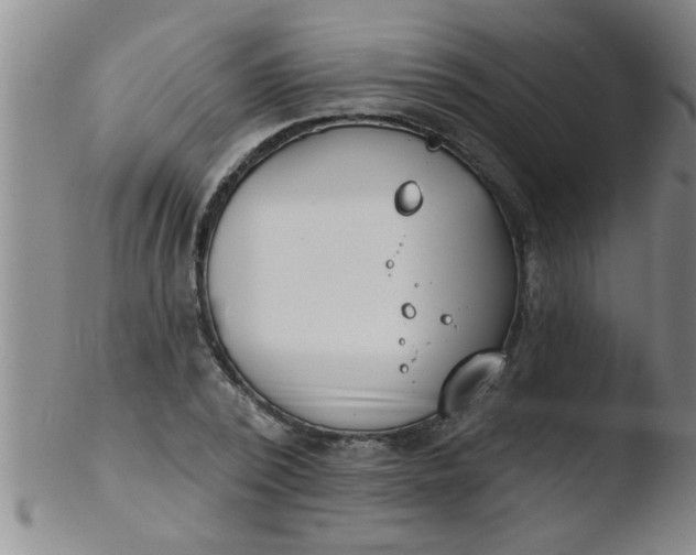 X0000103490784200809261950