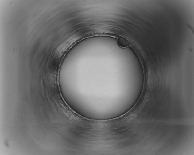 X0000103490785200809261949