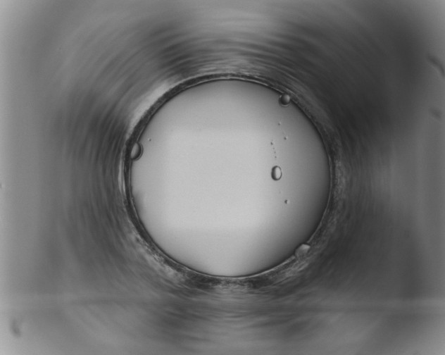 X0000103490788200809261949