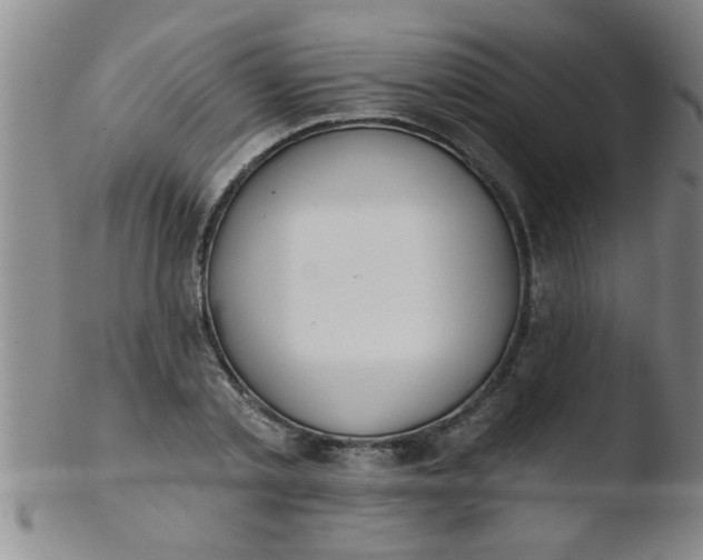 X0000103490789200809261949