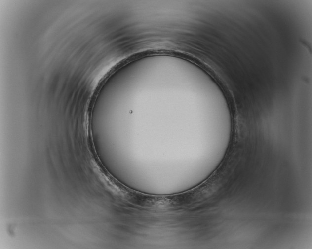 X0000103490791200809261949