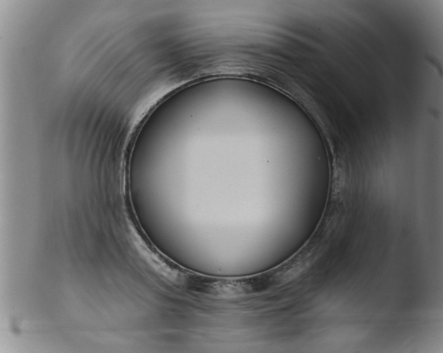 X0000103490795200809261949