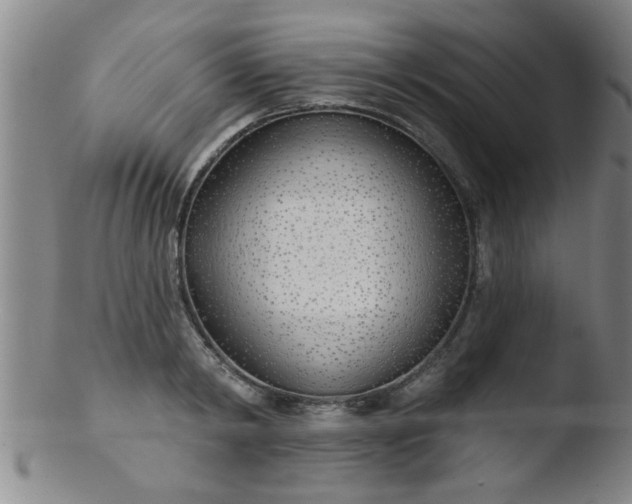 X0000103490798200809261949