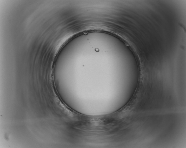 X0000103490799200809261949