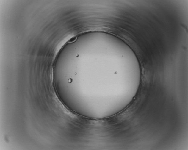 X0000103490804200809261949