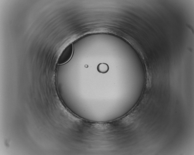 X0000103490805200809261949