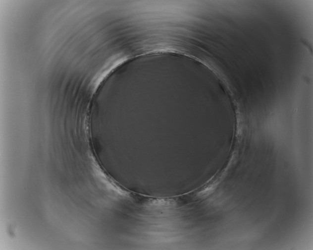 X0000103490806200809261949