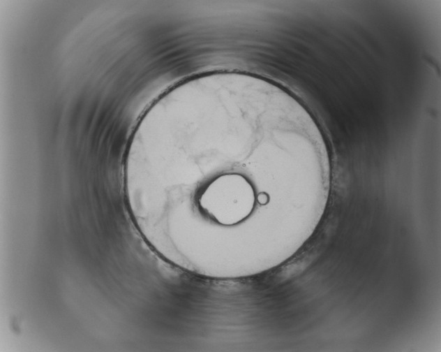 X0000103490807200809261949