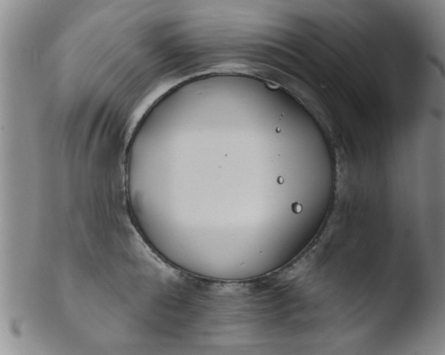 X0000103490808200809261949