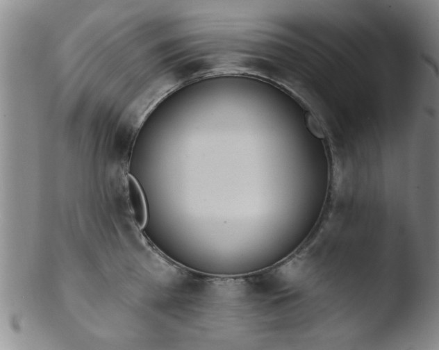 X0000103490809200809261949