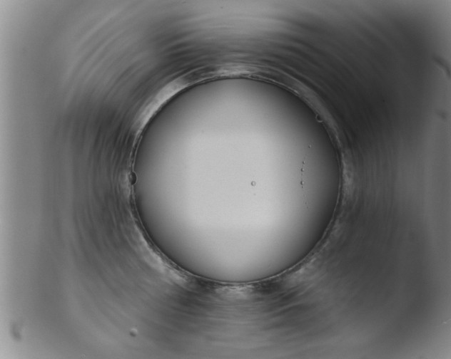 X0000103490810200809261949