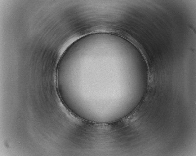 X0000103490811200809261949