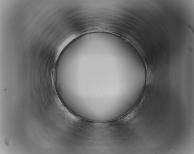 X0000103490812200809261949