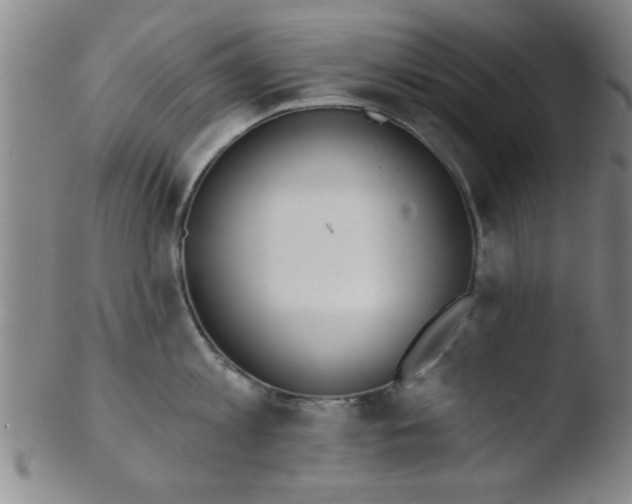 X0000103490813200809261949