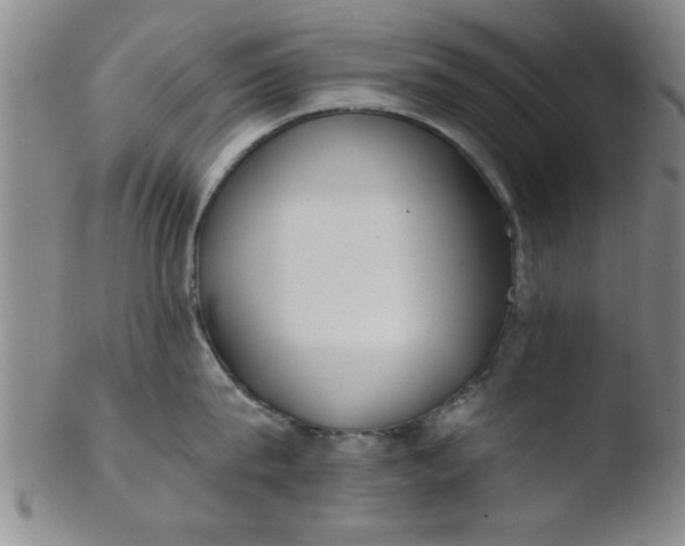 X0000103490815200809261949