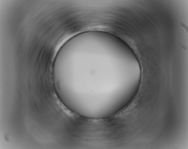 X0000103490816200809261949