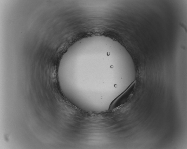 X0000103490818200809261948