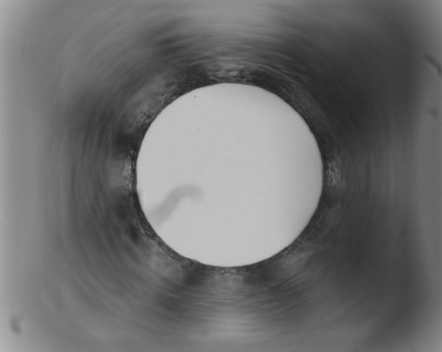 X0000103490820200809261948