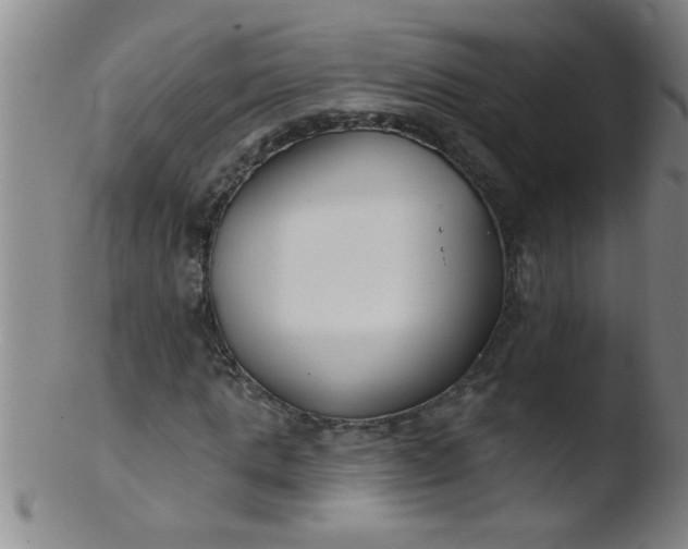 X0000103490821200809261948