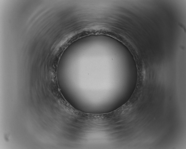 X0000103490823200809261948