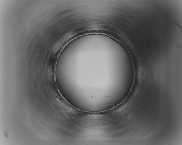 X0000103490825200809261949