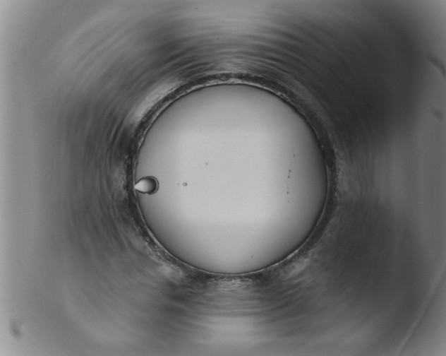 X0000103490826200809261949