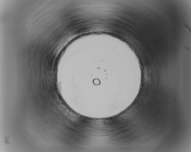 X0000103490828200809261949