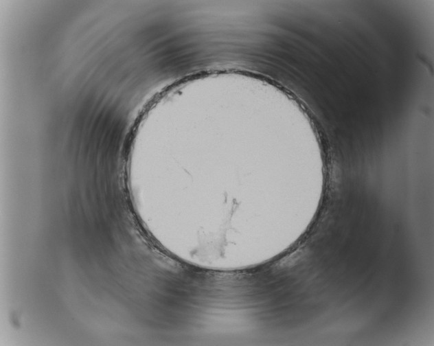 X0000103490832200809261949