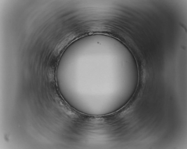 X0000103490833200809261949