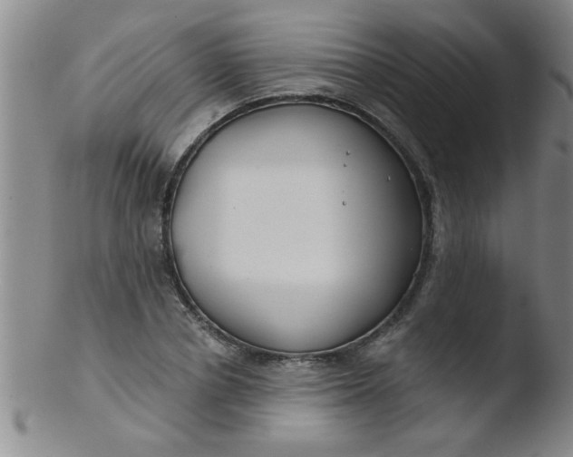 X0000103490834200809261949