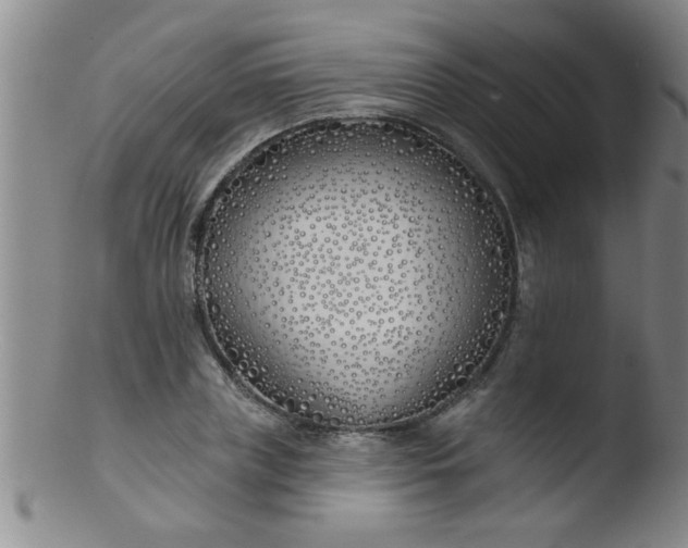 X0000103490835200809261949