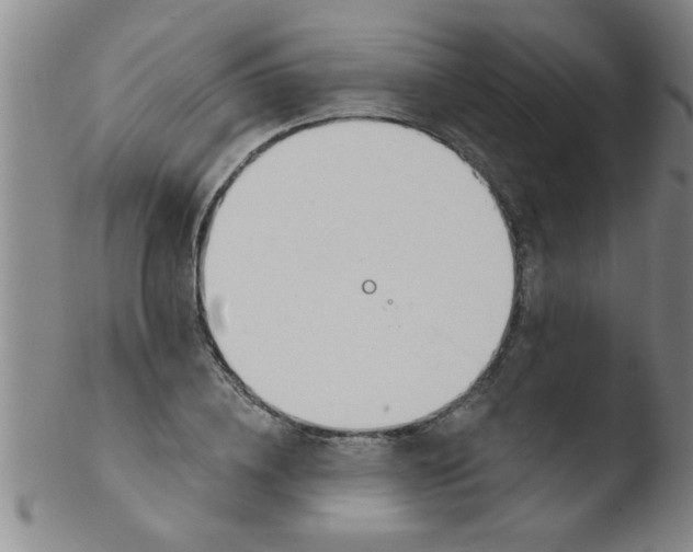 X0000103490836200809261949