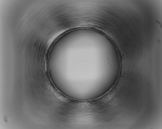 X0000103490838200809261949