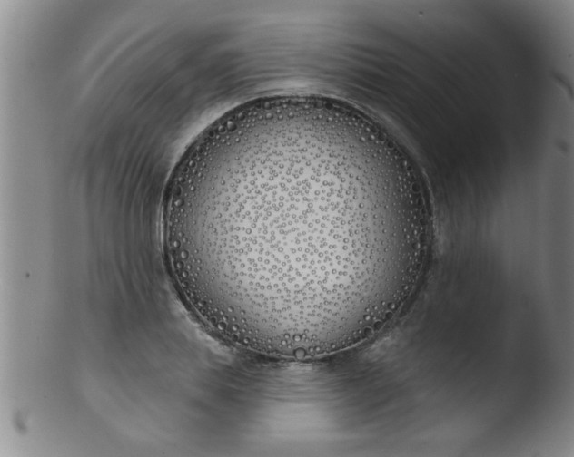 X0000103490839200809261949