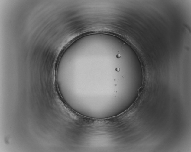 X0000103490840200809261949