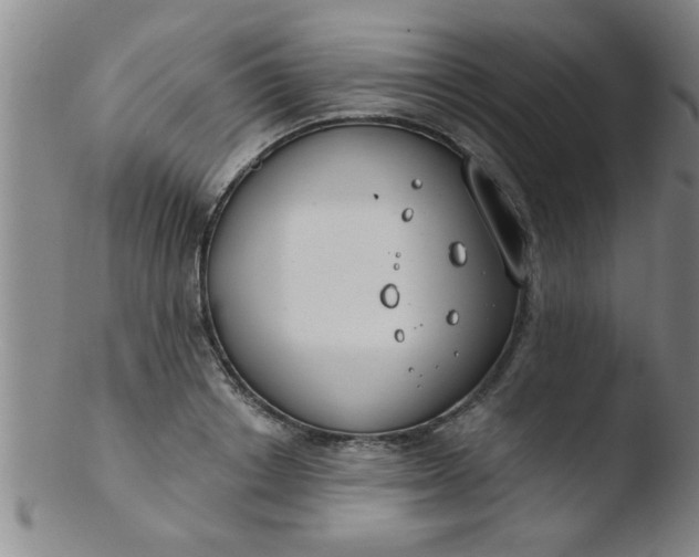 X0000103490842200809261949