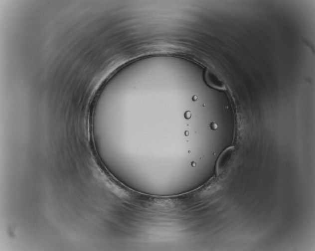 X0000103490843200809261949