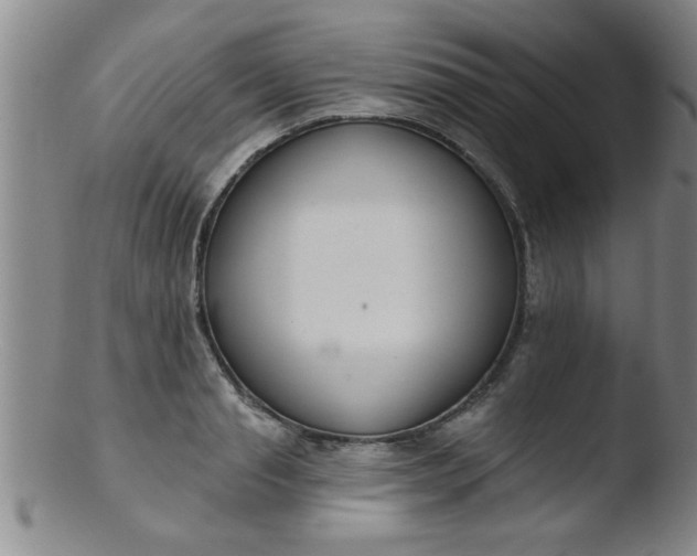 X0000103490845200809261949