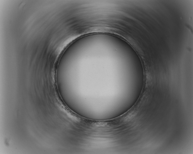 X0000103490846200809261949