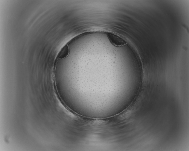 X0000103490847200809261949