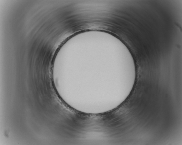 X0000103490848200809261949