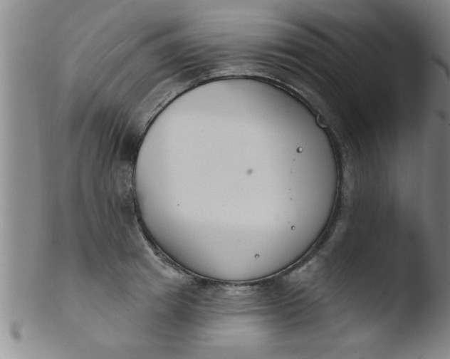 X0000103490849200809261949