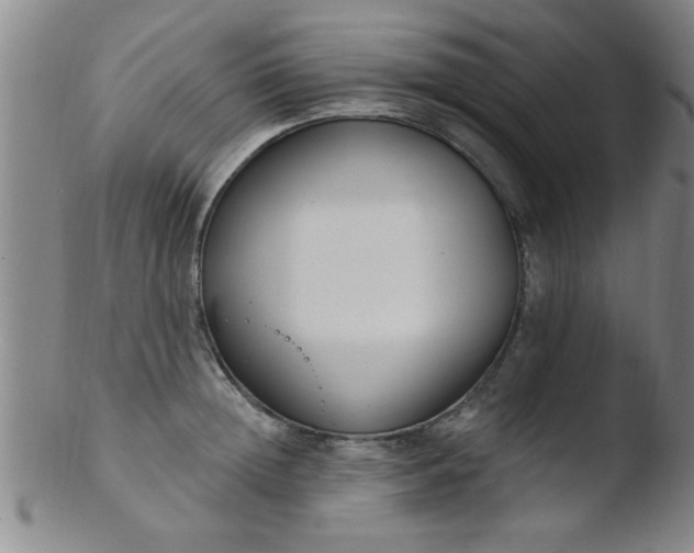 X0000103490852200809261949