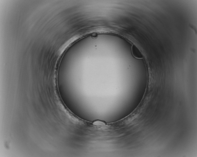 X0000103490853200809261949