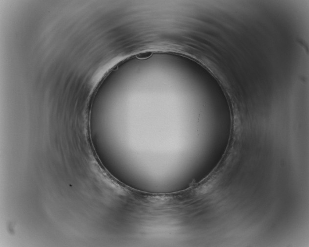 X0000103490854200809261949